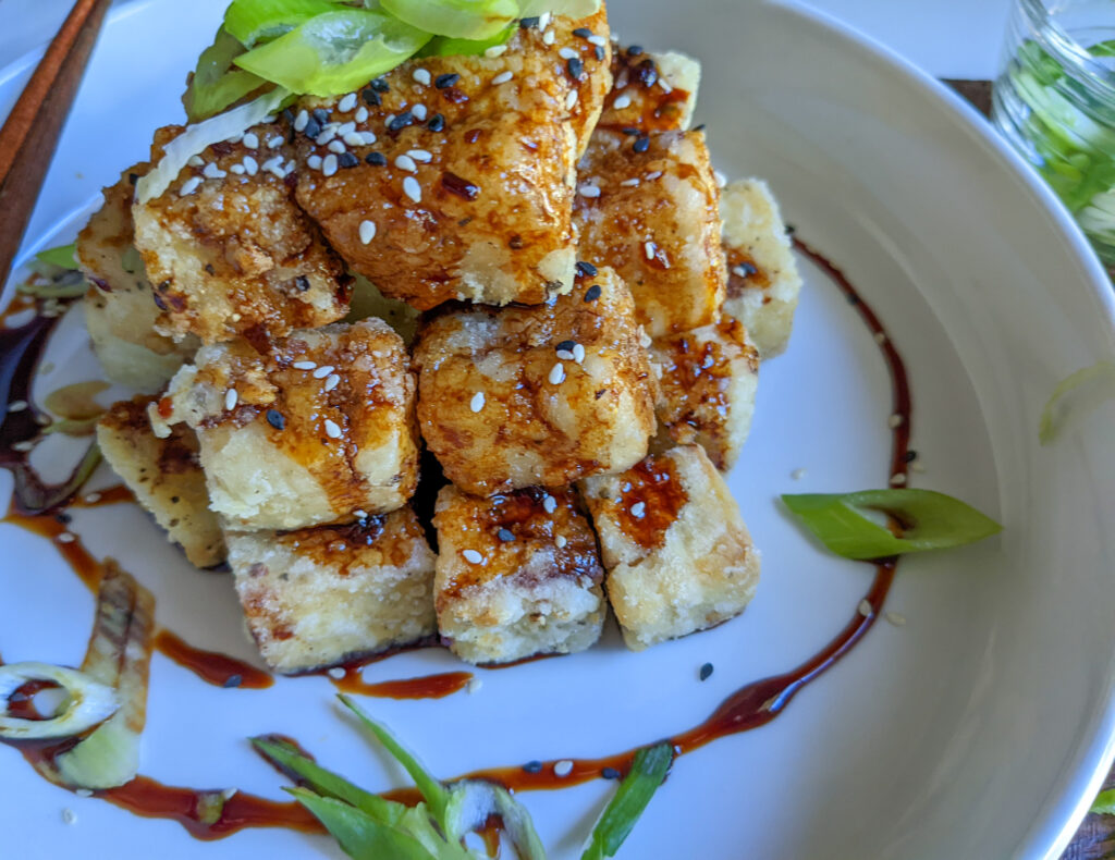 tofu teriyaki final pic 