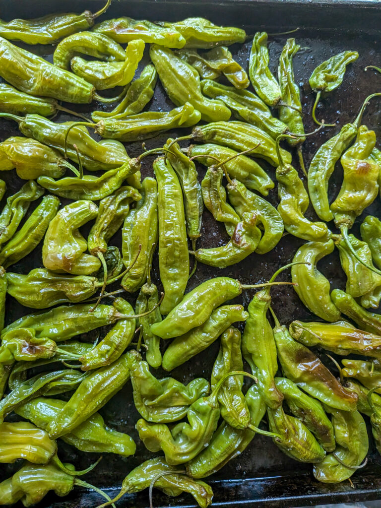 Roasted shishito peppers