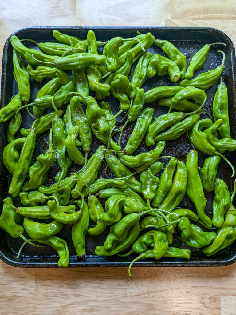Roasted shishito peppers